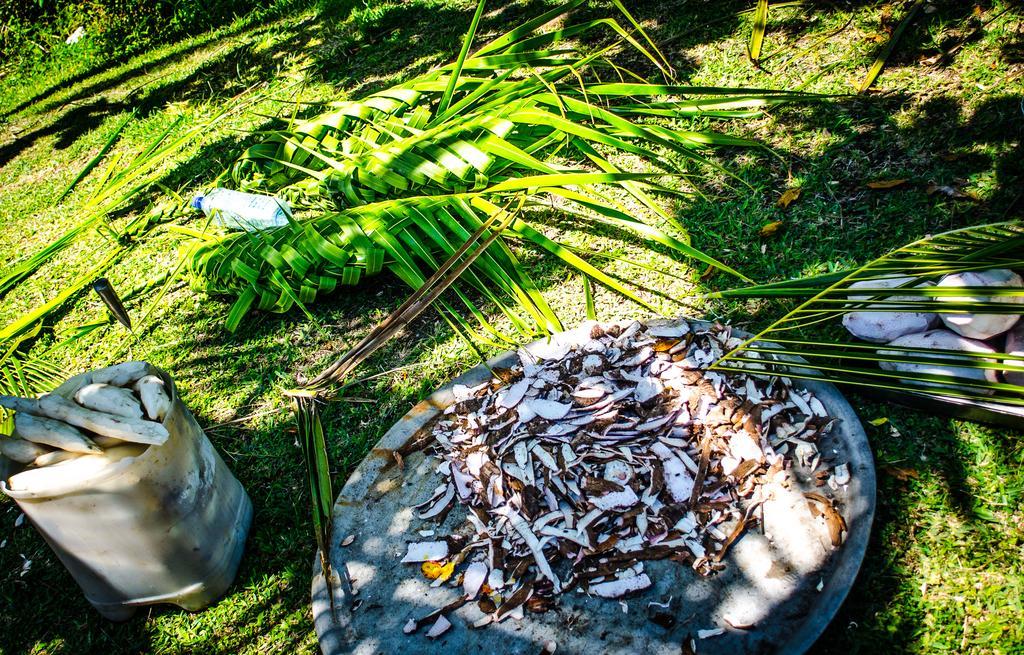 Coralview Island Resort Tavewa Island Ngoại thất bức ảnh
