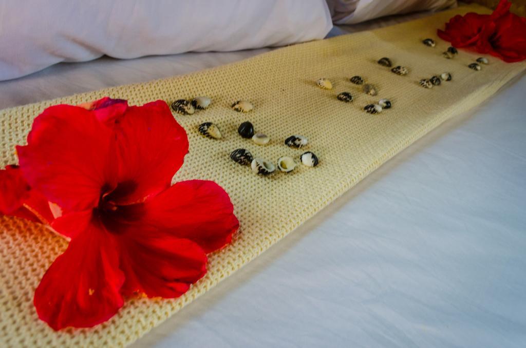 Coralview Island Resort Tavewa Island Ngoại thất bức ảnh