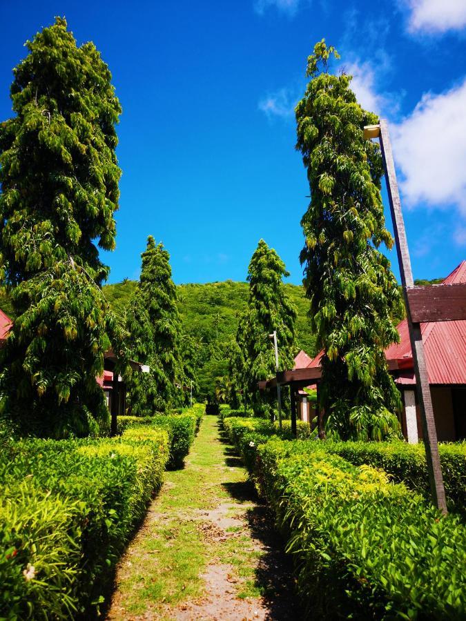 Coralview Island Resort Tavewa Island Ngoại thất bức ảnh